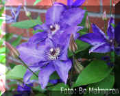 0708=05.jpg (44732 byte)