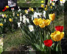 tu-0507=04.jpg (660632 byte)